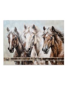 Horses in Harmony