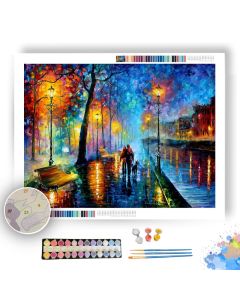 MELODY OF THE NIGHT - Paint By Numbers Full Kit