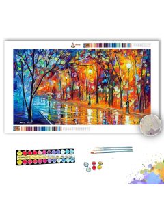 MISTY NIGHT - Paint By Numbers Full Kit