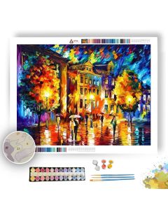 NIGHT ENIGMA - Paint By Numbers Full Kit