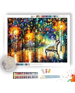 NIGHT LONELINESS - Paint By Numbers Full Kit