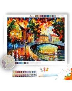 OLD BRIDGE - Paint By Numbers Full Kit