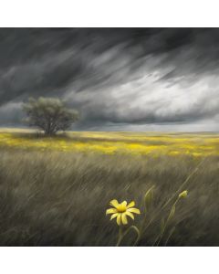 The storm of Life