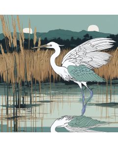 Dawn's Egret