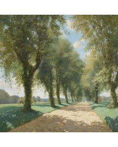 Sunlit Pathway