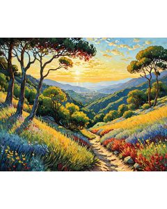 Wildflower Meadow