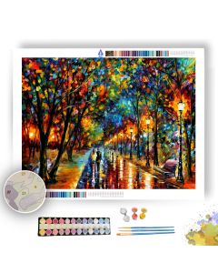 WHEN DREAMS COME TRUE - Paint By Numbers Full Kit