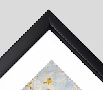 Frame