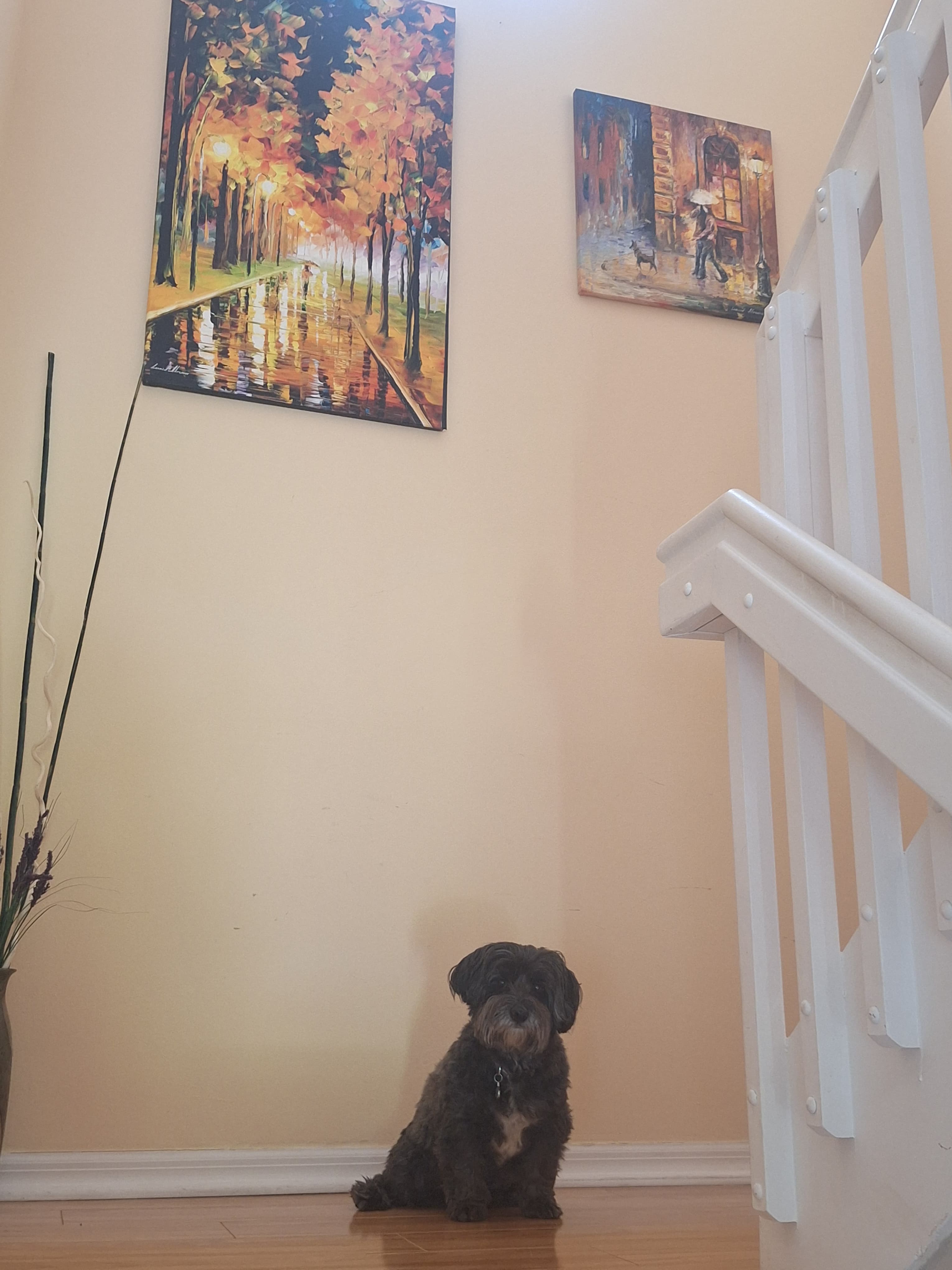 Customer review photo