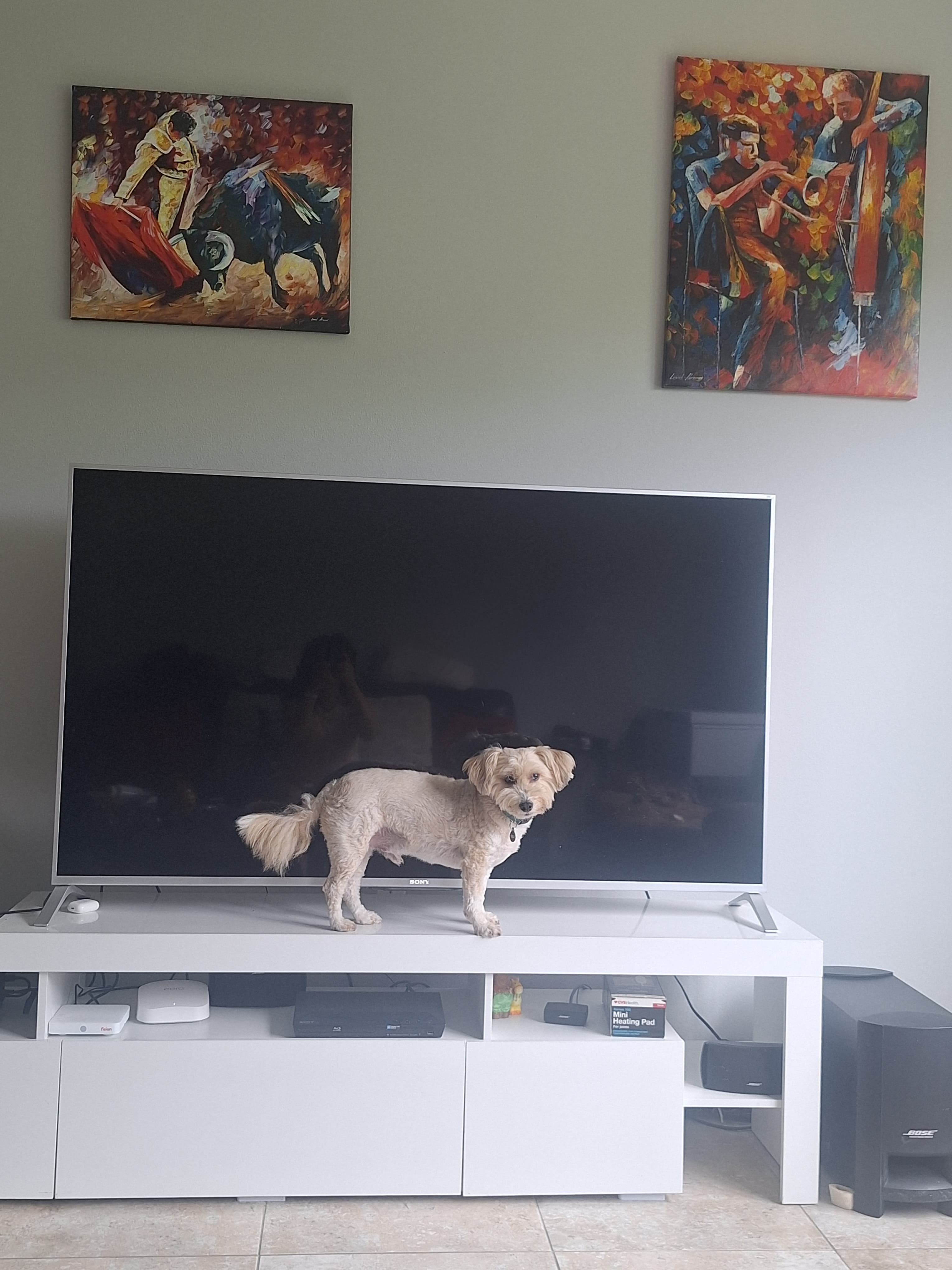 Customer artwork photo